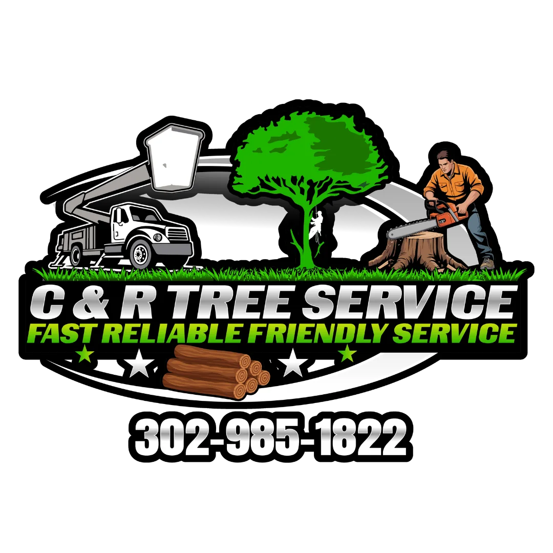 C&R Trees Service